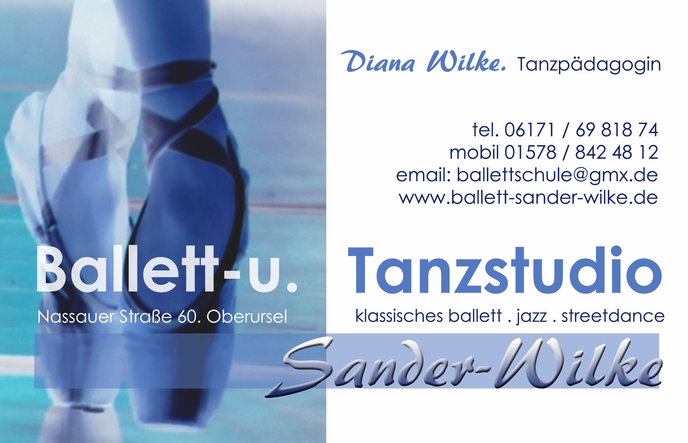 Firmenlogo Sander-Wilke.jpg
